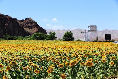 TGA主持人暗示：科隆游戏展将公布新《无主之地传说》游戏