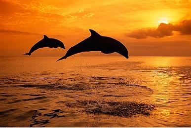 称霸黄泉归来！制作人介绍新作《黄泉之旅》设计细节