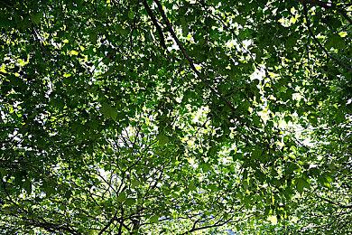 《赛博朋克2077》NS2版展示 CDPR称之为便携游玩最佳方式