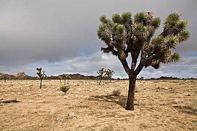 复古组队角色扮演游戏《SKALD：攻打黑修院》发售日预告 5月31日发售