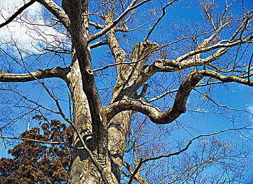 新手也能放心通关 《脑航员2》确定包含无敌模式